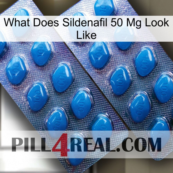 What Does Sildenafil 50 Mg Look Like viagra2.jpg